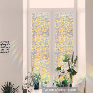 Detail of floral window film showing yellow flowers and rainbow light refraction