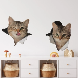 Adesivi murali 3D gatti tabby con realistico effetto muro rotto per decorazione casa