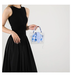 Detail van transparante PVC mini handtas met blauw geblokte binnentas en klepsluiting