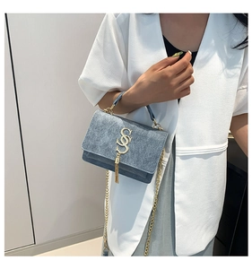 Detail of blue-grey suede handbag featuring a gold double-S clasp and tassel fringe