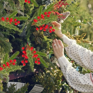 Close-up of red berry stems being placed on green pine branches for Christmas decor
