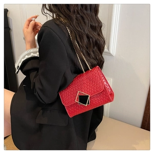 Detail of red woven leather handbag with gold chain strap and geometric metal buckle