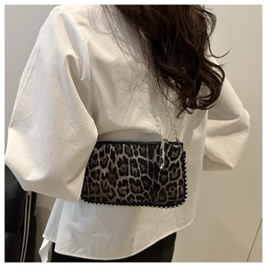 Detail of leopard print crossbody bag with silver bead edges and metallic chain strap