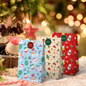Christmas paper gift bag set with Santa Claus and Reindeer designs for holiday packaging