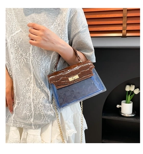 Detail of blue transparent PVC crossbody bag with brown crocodile pattern and gold chain