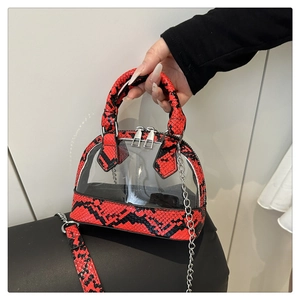 Detail of red and black snakeskin shell bag with clear PVC panels and silver chain