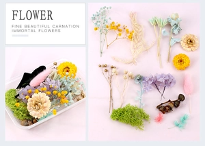 Close-up of DIY preserved flower set with carnations and daisies in a plastic storage box