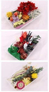 Assorted DIY dried flower set with hydrangea and eucalyptus for crafts and home decor
