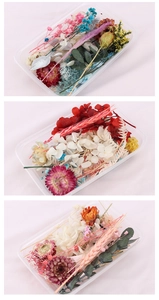 Detailed view of preserved flowers set in transparent box for DIY floral craft projects