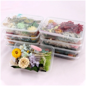 Preserved mixed dried flowers in a clear box for DIY floral crafts and resin art