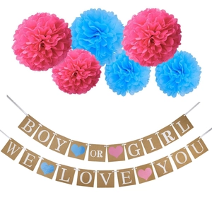 Banderole De Révélation De Genre En Papier Kraft Et Boules De Fleurs En Papier Pour Décoration De Baby Shower