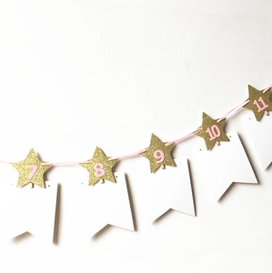 Banderole photo étoile rose avec étoiles pailletées dorées et clips pour décor anniversaire bébé