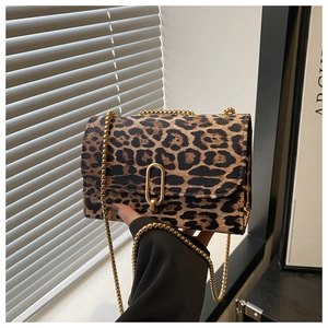 Detail of leopard print crossbody bag with gold chain strap and metal clasp closure
