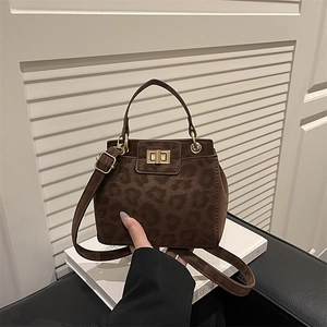 Brown leopard print crossbody bag with gold buckle and frosted finish for women