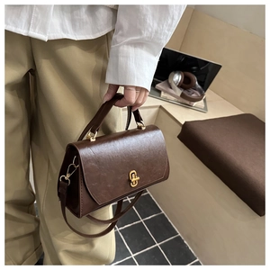 Detailed shot of dark brown crossbody bag with gold U-lock and elegant top handle