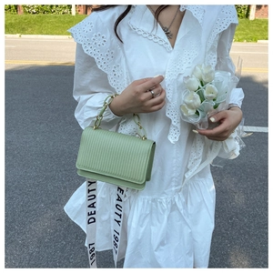 Close-up of light green striped handbag with chunky chain handle and flap closure