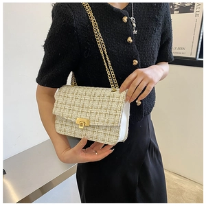 Detailed view of beige tweed crossbody bag with gold chain strap worn by a model
