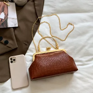 Detail of dark brown crocodile pattern bag with gold metal frame and fine chain strap