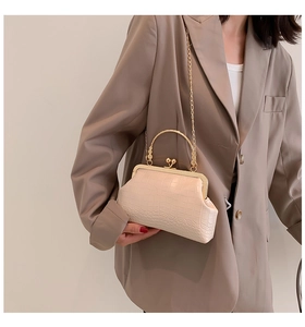 Detail of cream white crocodile embossed retro clutch with gold chain and metal frame