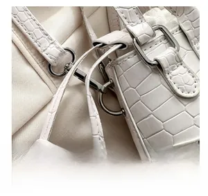 Detailed macro view of ivory white crocodile-patterned mini bag with silver buckle