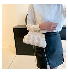 Macro shot of white woven texture on a vintage shell bag with gold clasp and chain strap