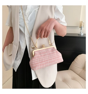 Pink and white tweed kiss-lock bag with gold metal handle shown on a model
