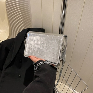 Silver square crossbody bag with crocodile texture and metallic chain strap for women