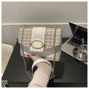 Detail of tweed and white leather crossbody bag with golden chain and oval buckle