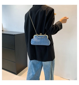 Blue tweed crossbody bag with gold chain and vintage clasp shown on a model