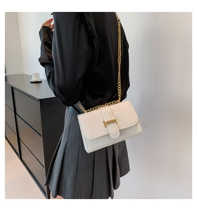 Close-up of white crocodile pattern crossbody bag with golden H buckle and chain strap