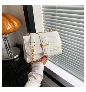 Detail of white crocodile pattern shoulder bag with gold H-buckle and metal chain strap
