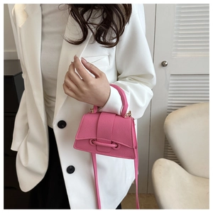 Pink mini crossbody bag with litchi texture and gold buckle shown on a model