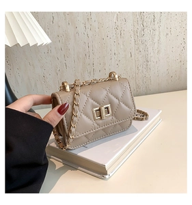Macro detail of quilted leather texture and gold metal clasp on mini crossbody bag