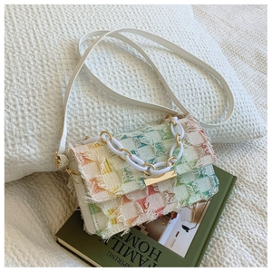 Détails du petit sac en tweed à damier arc-en-ciel avec fermoir doré et poignée chaîne
