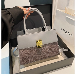 Detailed view of grey crocodile pattern handbag with gold clasp in premium gift box set