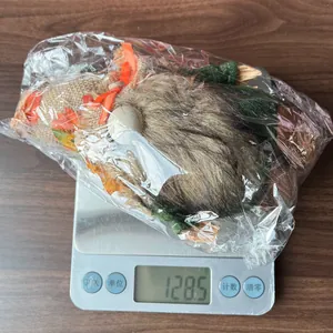 Vue détaillée du gnome d'automne pesé à 128,5g sur une balance numérique de précision