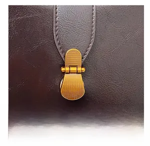 Macro shot of retro bronze buckle and lychee grain leather texture on crescent bag