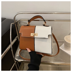 Detail of two-tone crossbody bag with gold metal twist lock and stitching details