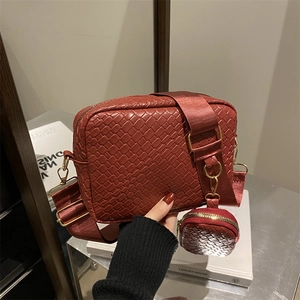 Borsa a Spalla da Donna Trama Intrecciata Con Tracolla Larga E Portamonete Rotondo Borsa a Tracolla in Pelle PU Borsa Fotografica