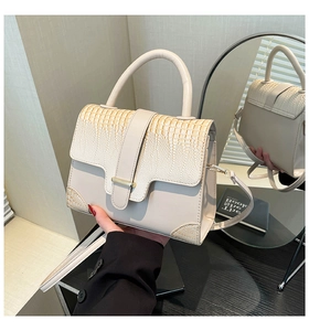 Detail showing cream crocodile pattern leather texture and gold hardware on small square bag