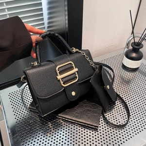 Classic black litchi pattern handbag with gold clasp, detachable coin purse and chain strap