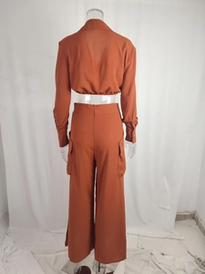 Detail view of brick red long sleeve crop top with elastic back and cargo wide leg pants