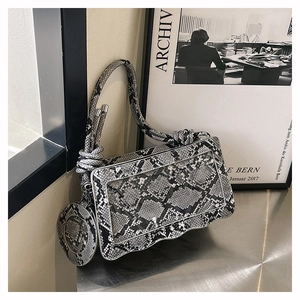 Detail of snake skin print bag with transparent window and circular coin purse attachment