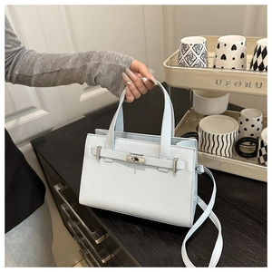 Macro view of light blue lychee pattern leather handbag with silver clasp details