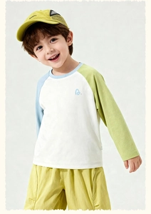 Boy's spring long sleeve t-shirt and lime green shorts set with raglan sleeve design