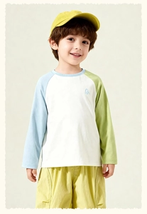 Detail showing kids raglan sleeve t-shirt and casual shorts outfit for boys