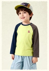 Detail of color-blocked long sleeve t-shirt with raglan sleeves and letter embroidery