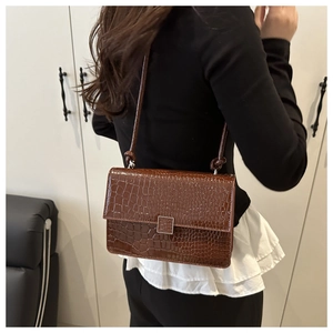 Close-up of dark brown crocodile pattern handbag with silver square metal buckle