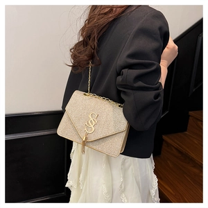 Detail of champagne gold sequin crossbody bag with S-logo and metal tassel on model