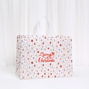 Detail of waterproof Christmas gift bag featuring red Merry Christmas text and festive icons